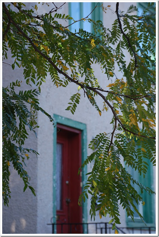 Red Door and Rowan