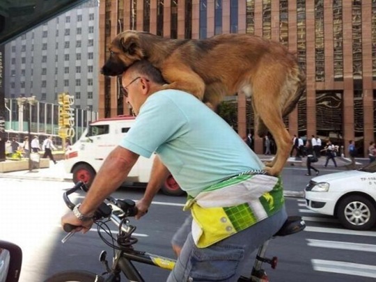 [viral-picdump-pics-40%255B2%255D.jpg]