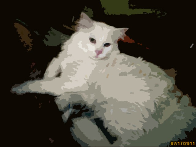 [image201102170017ps%255B3%255D.jpg]