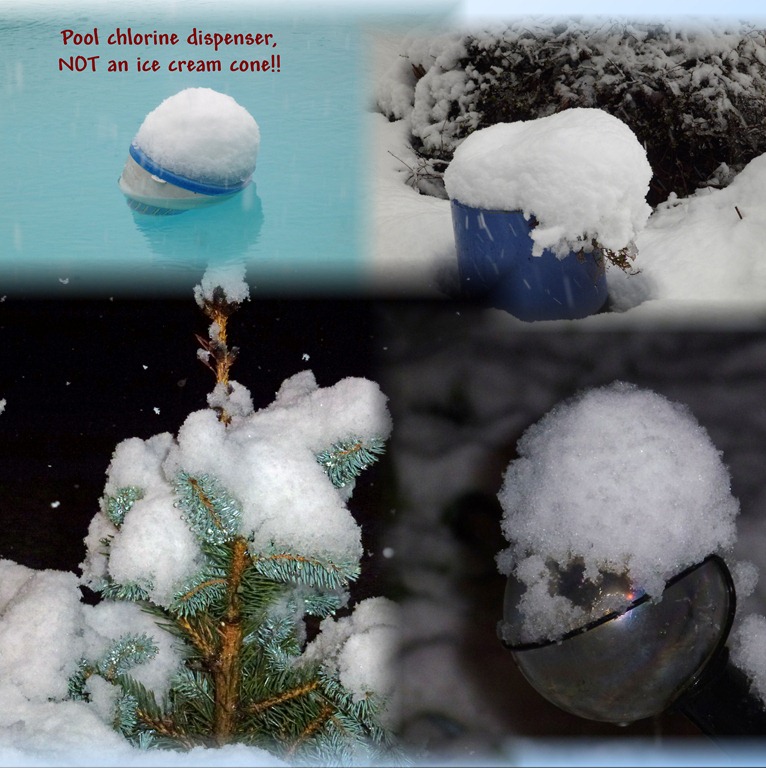 [snow%2520shots%255B3%255D.jpg]