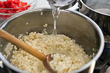 summer-garden-risotto-6