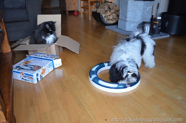 [DSC_0056%255B2%255D.jpg]