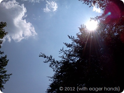 IMG_20110726_160220