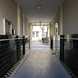 IMG_6768.JPG