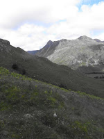 RIMG0190.JPG Photo