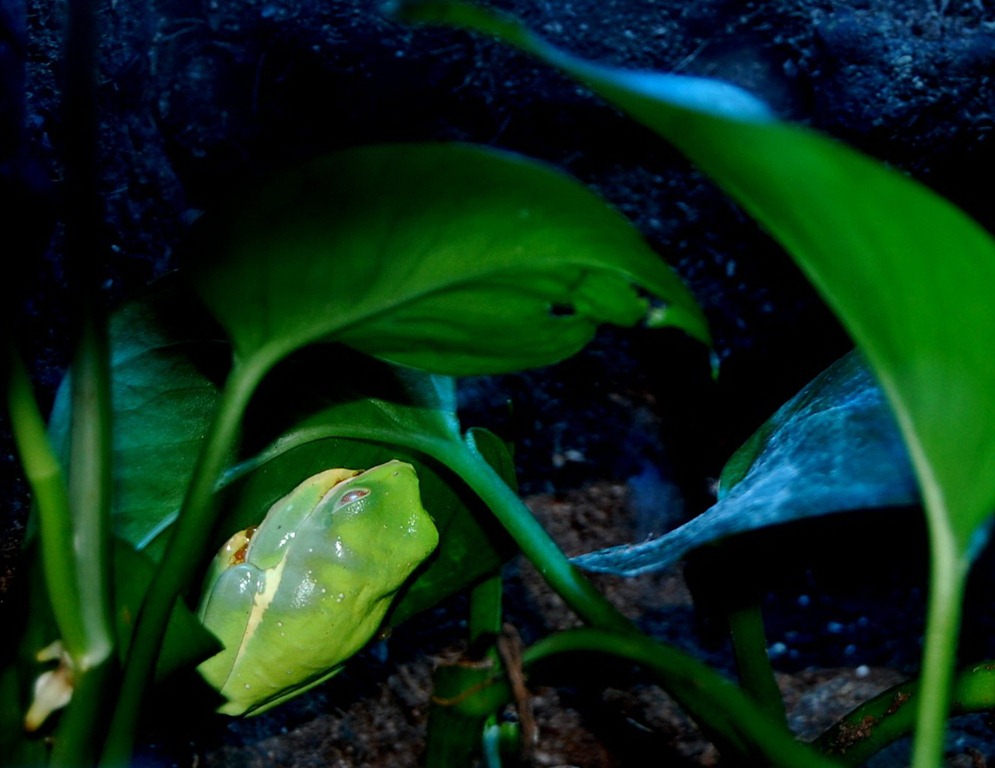 [aquariumaugust143.jpg]