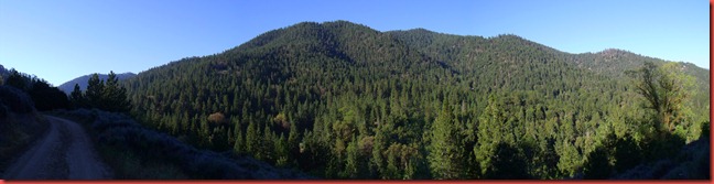 pics 006