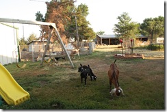 IMG_8222 IMG_8222