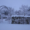 DSC00455.JPG