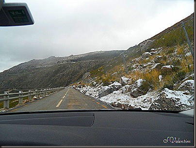 SAM_0300 SAM_0300