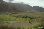 Road side of the A365 to Kochkor