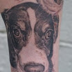 Bottom Dog