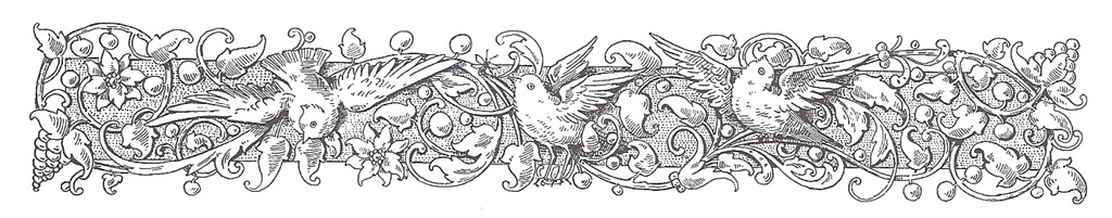[Antique%2520Engraving%2520of%2520Birds%255B6%255D.jpg]