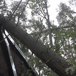 2012-08-06 16.52.17.jpg