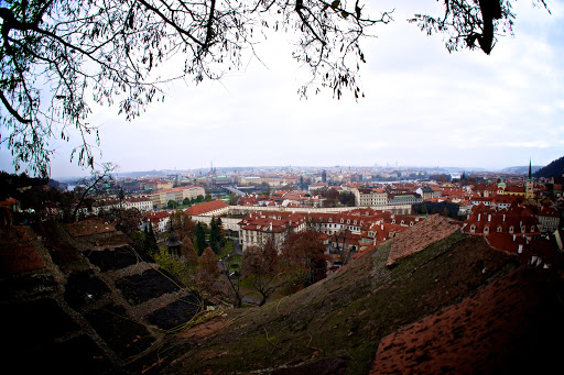 DSC03609