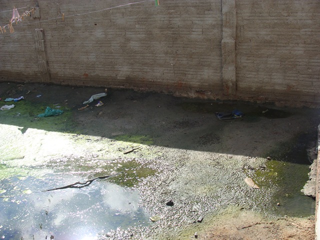 [DSC013184.jpg]
