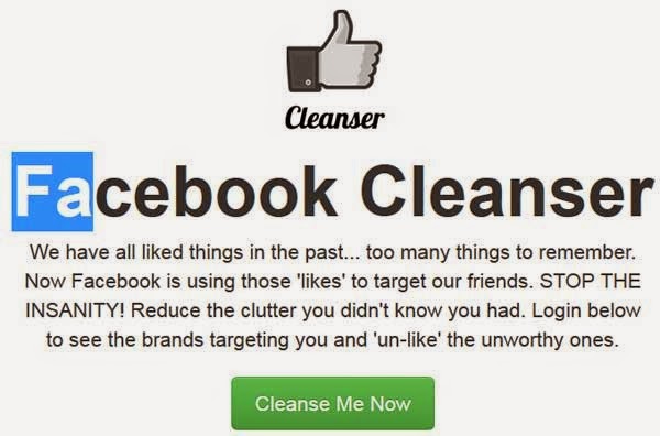 [facebook-cleanser%255B4%255D.jpg]