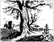 From Red Lion A Tree Stands With Mercury At Its Base And Saturn
