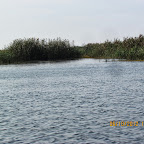 IMG_8041.JPG