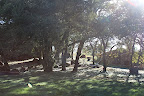 More views of their amazing property. More views of their amazing property.