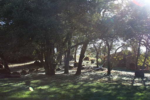 More views of their amazing property. More views of their amazing property.