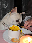 Martha, I know the bread goes into the bully baisse, but I just can't wait!