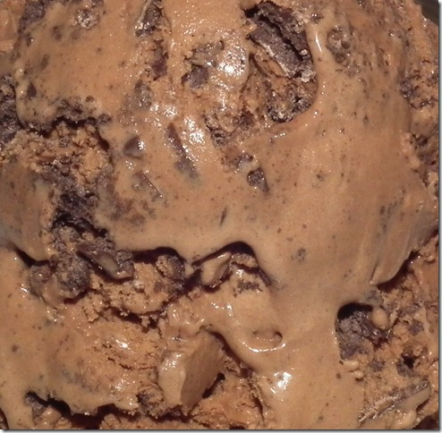Chocolate Grasshopper Cookies Ice Cream Close Up