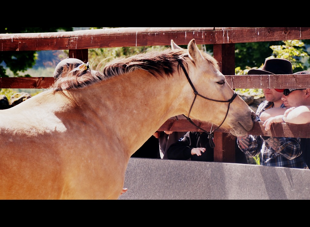 [15%2520June%25209%252010-06-2013%252010-49-11%255B3%255D.jpg]