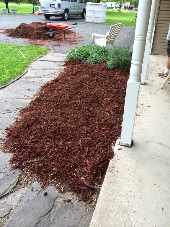 [mulch%25204%255B6%255D.jpg]