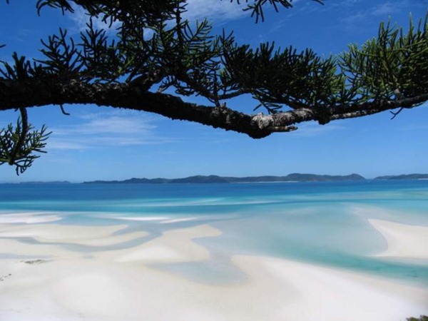 Whitehaven-Beach-Whitsunday-Island-Australia71-728x546 Whitehaven-Beach-Whitsunday-Island-Australia71-728x546