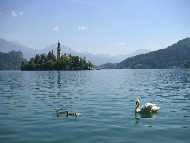 bled-island-3 bled-island-3