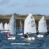 2011 OPTIMIST COBBLER LEAGUE mainsheetimages.com