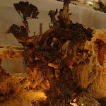 1611-10.jpg 1611-10.jpg
