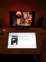 IMG_4895 IMG_4895