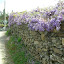 DSCN5648.JPG