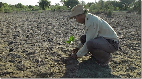 india_man_plants_trees_4 conservacion, ecologia, cuidado del planeta, bosques