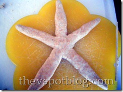 Salt Dough Starfish Craft - Little Bins for Little Hands