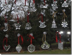IMG_2238 IMG_2238