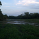 View album