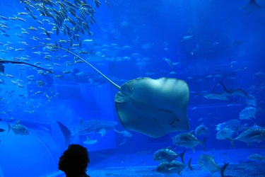IMG_6643 IMG_6643