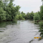 IMG_0233.JPG