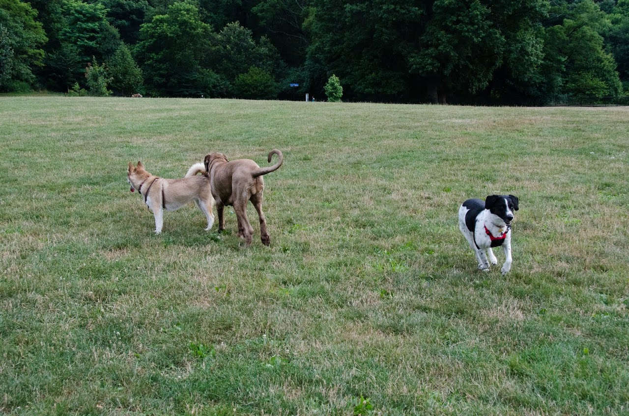 Abby at Prospect Park