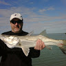 IMG00011.jpg IMG00011.jpg