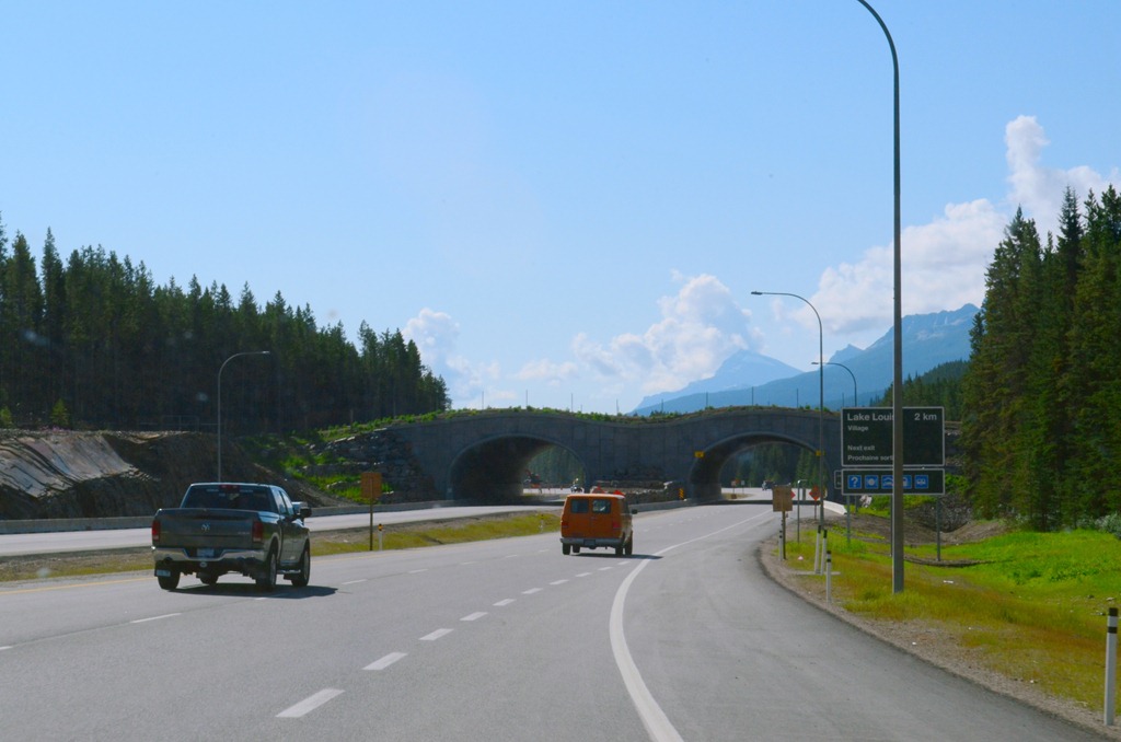 [Jasper%2520NP%2520Day%252038%2520%252875%2529%255B4%255D.jpg]