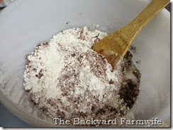 ooey gooey chocolate cake - The Backyard Farmwife
