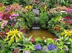 Plantas para jardín exterior ~ Diseño y Decoracion de Jardines de Casas