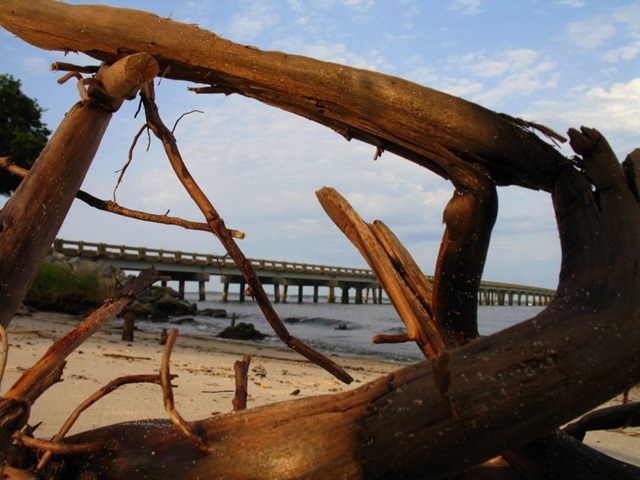 [IMG_5000%255B7%255D.jpg]