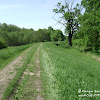 dsc06743.jpg