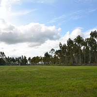 DSC_2040.JPG