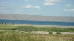 IMG_4262.jpg